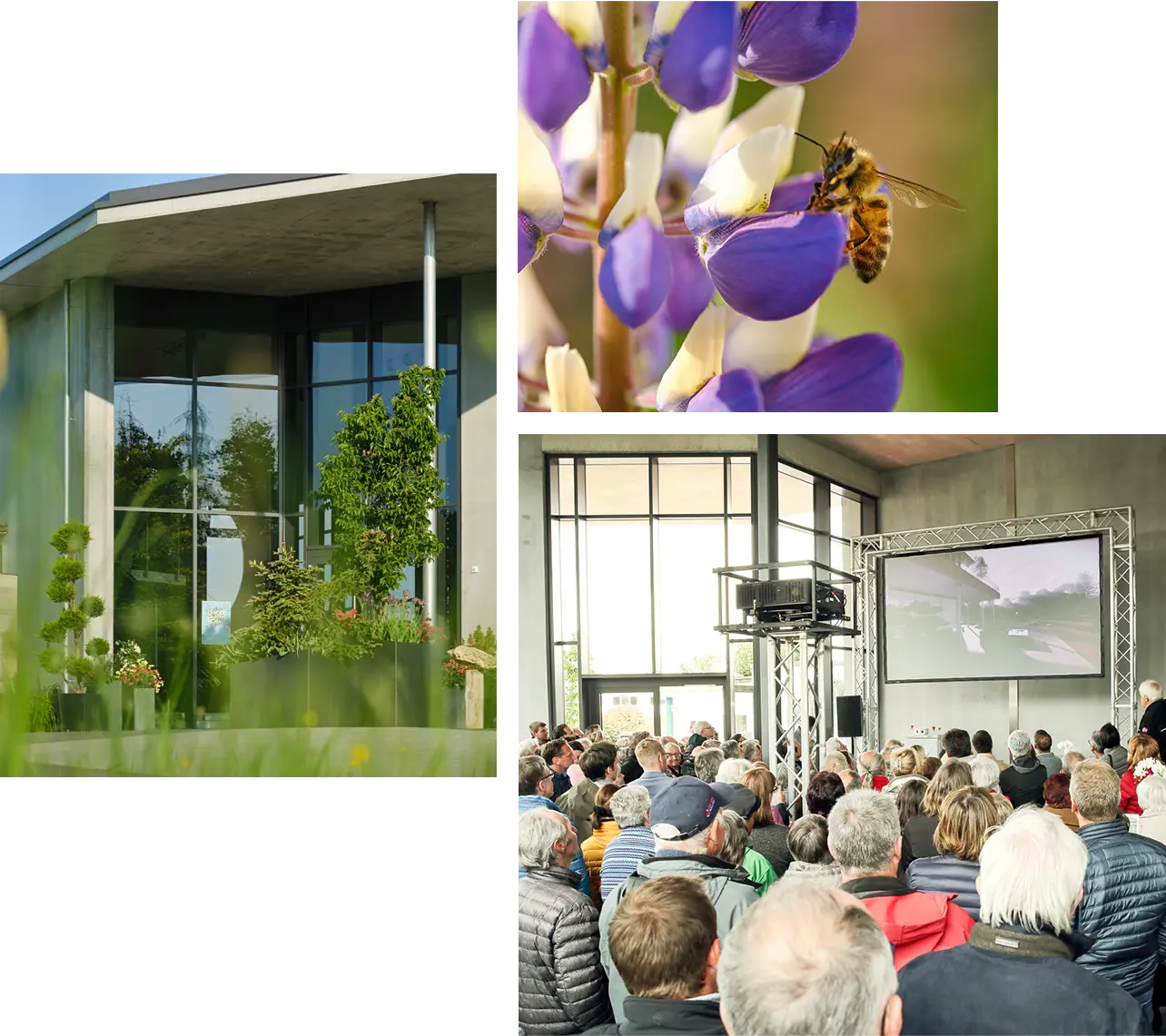 impulse-saum-gruene-ideen-events-galabau-partner