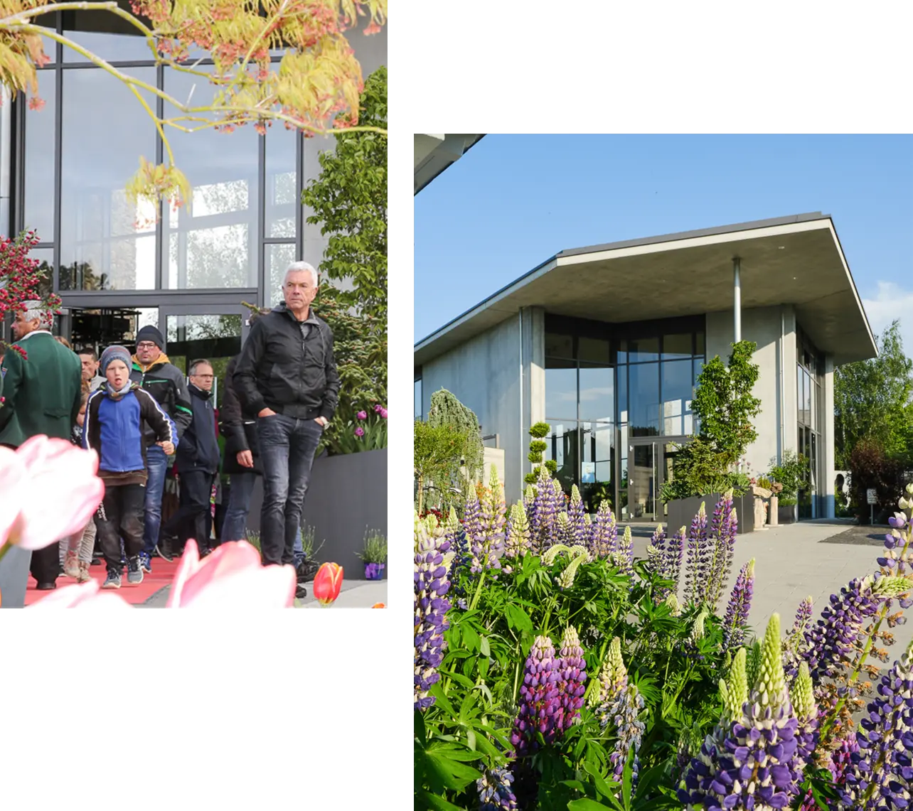 impulse-saum-gruene-ideen-events-veranstaltungen