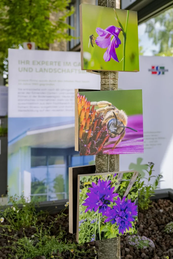 paul-saum-hohenfels-fotowettbewerb-vernissage-ausstellung-event-110645-OLE_3283